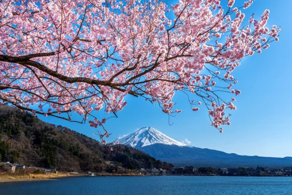 Cara Berobat ke Jepang [2025]