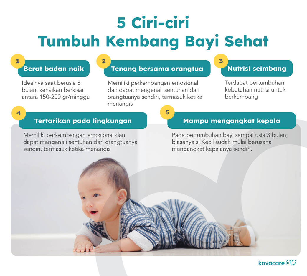 Infografis Ciri Tumbuh Kembang Bayi Sehat Kavacare