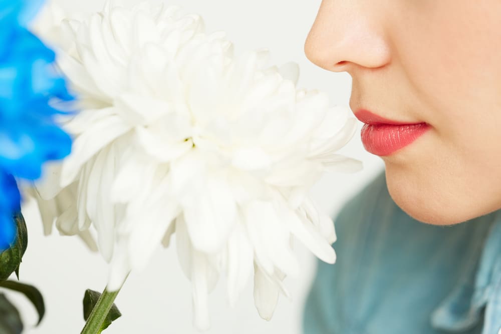 Read more about the article 4 Penyebab Anosmia dan Cara Menanganinya