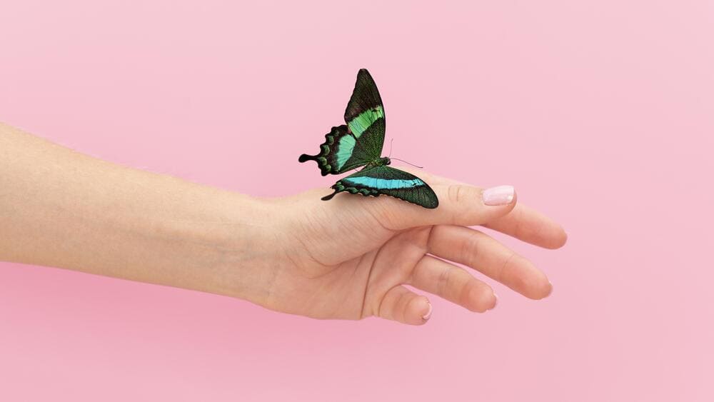 Read more about the article Penyakit Lupus: Gejala dan Perawatan