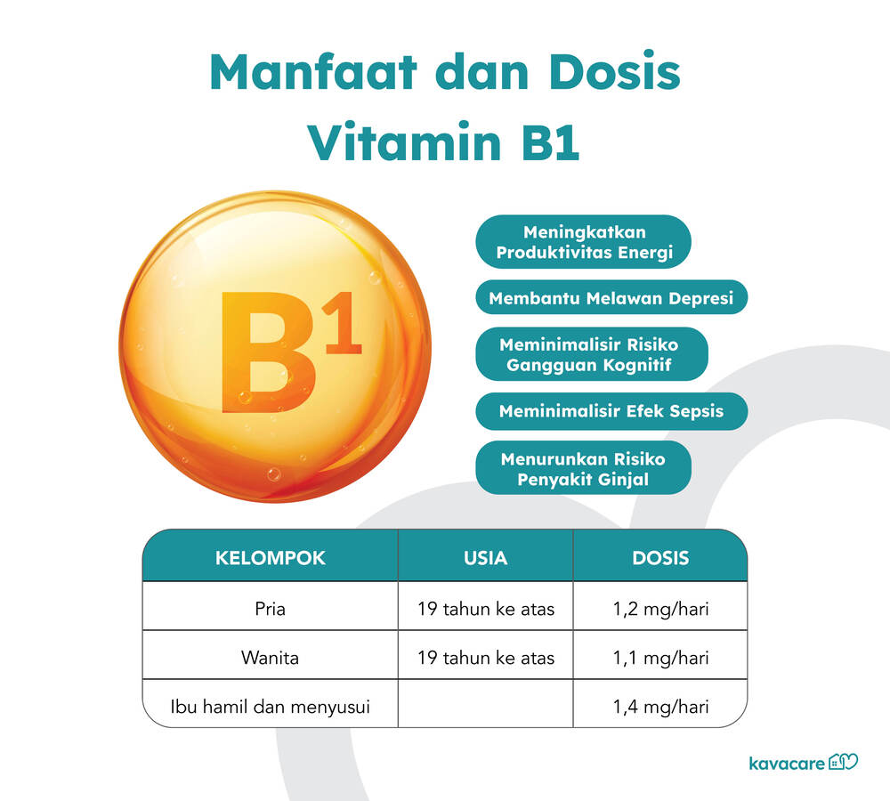 Vitamin B1 Manfaat Dosis Dan Sumber Terbaik 