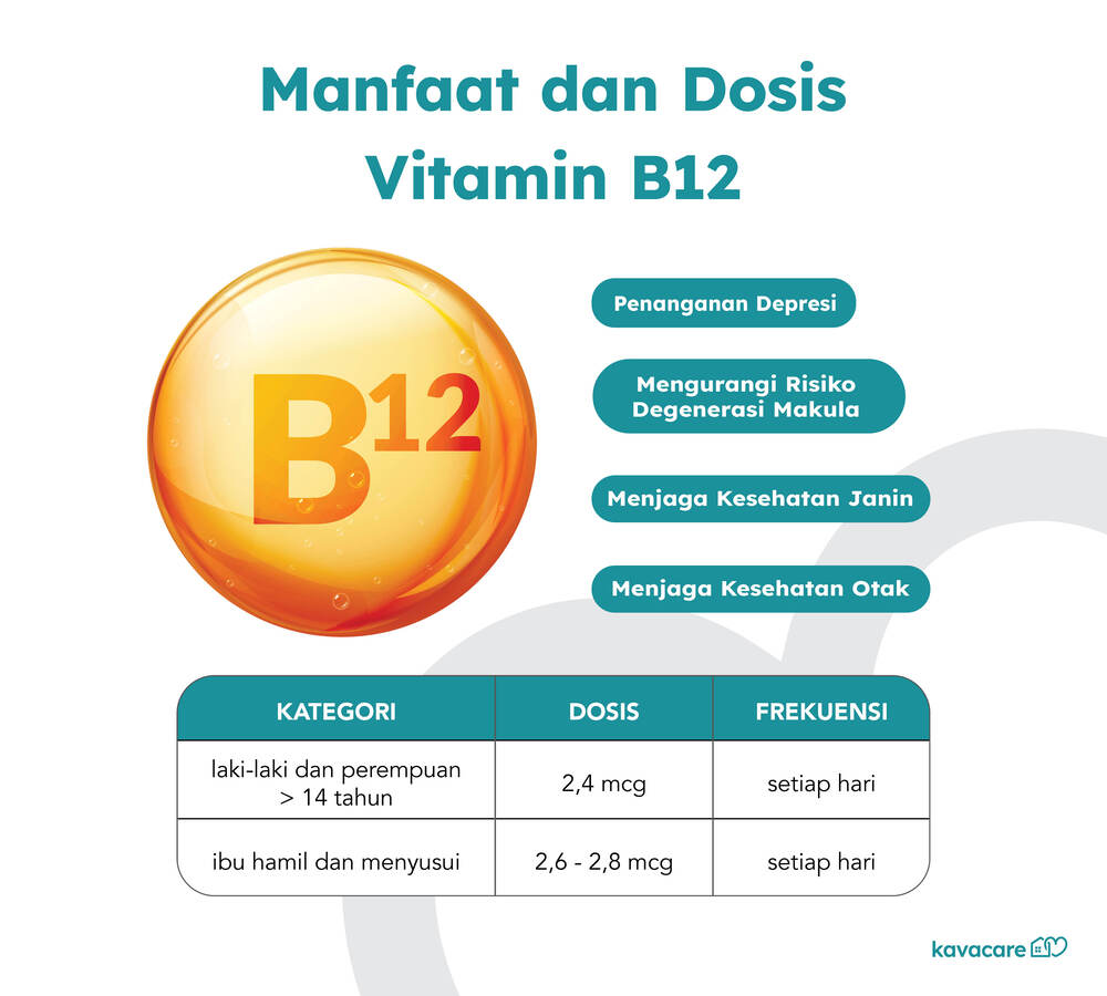 Infografis Manfaat Vitamin B12 Kavacare