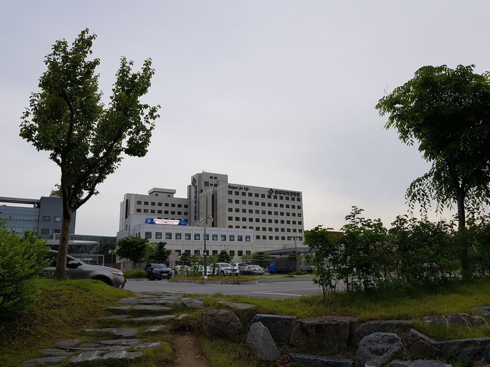 Read more about the article Berobat ke Jeonbuk National University Hospital