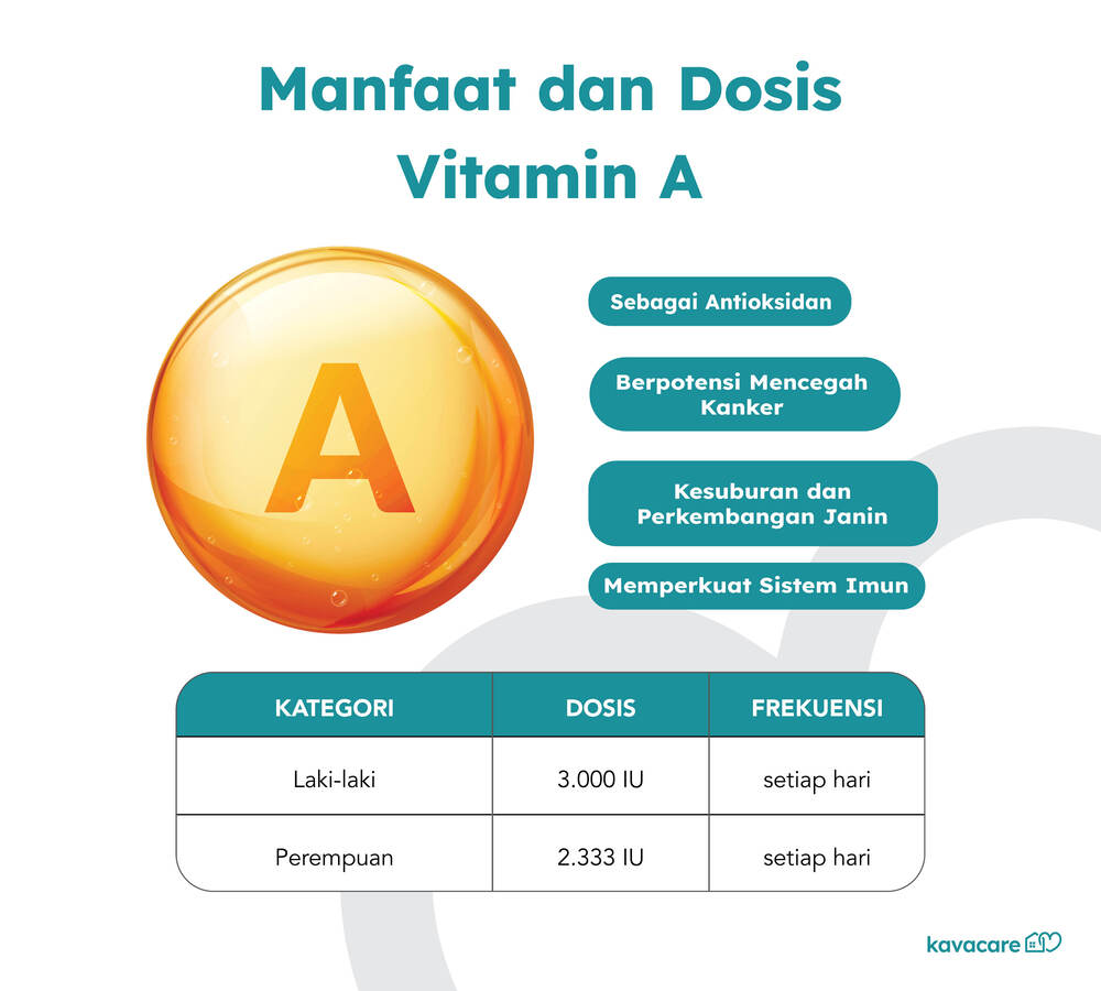 Vitamin A Manfaat Dosis Dan Sumber Terbaik 