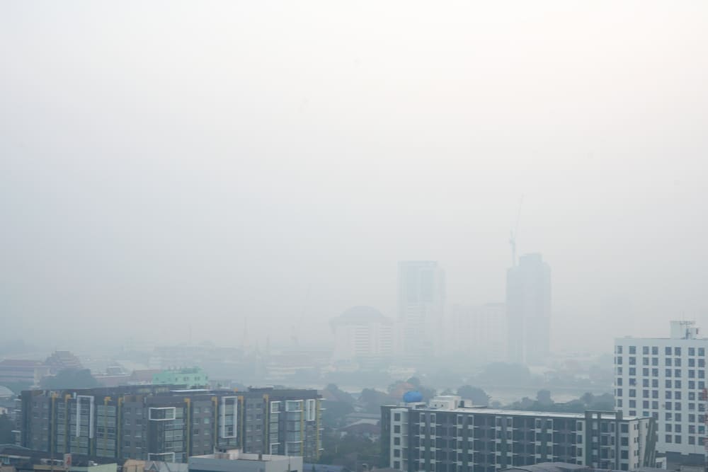 Read more about the article 3 Penyakit Dampak Polusi Udara