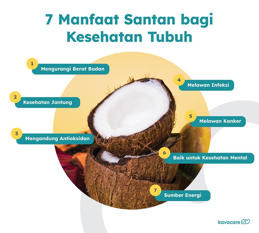 Mengenal 7 Manfaat Santan bagi Kesehatan Tubuh 8 manfaat santan