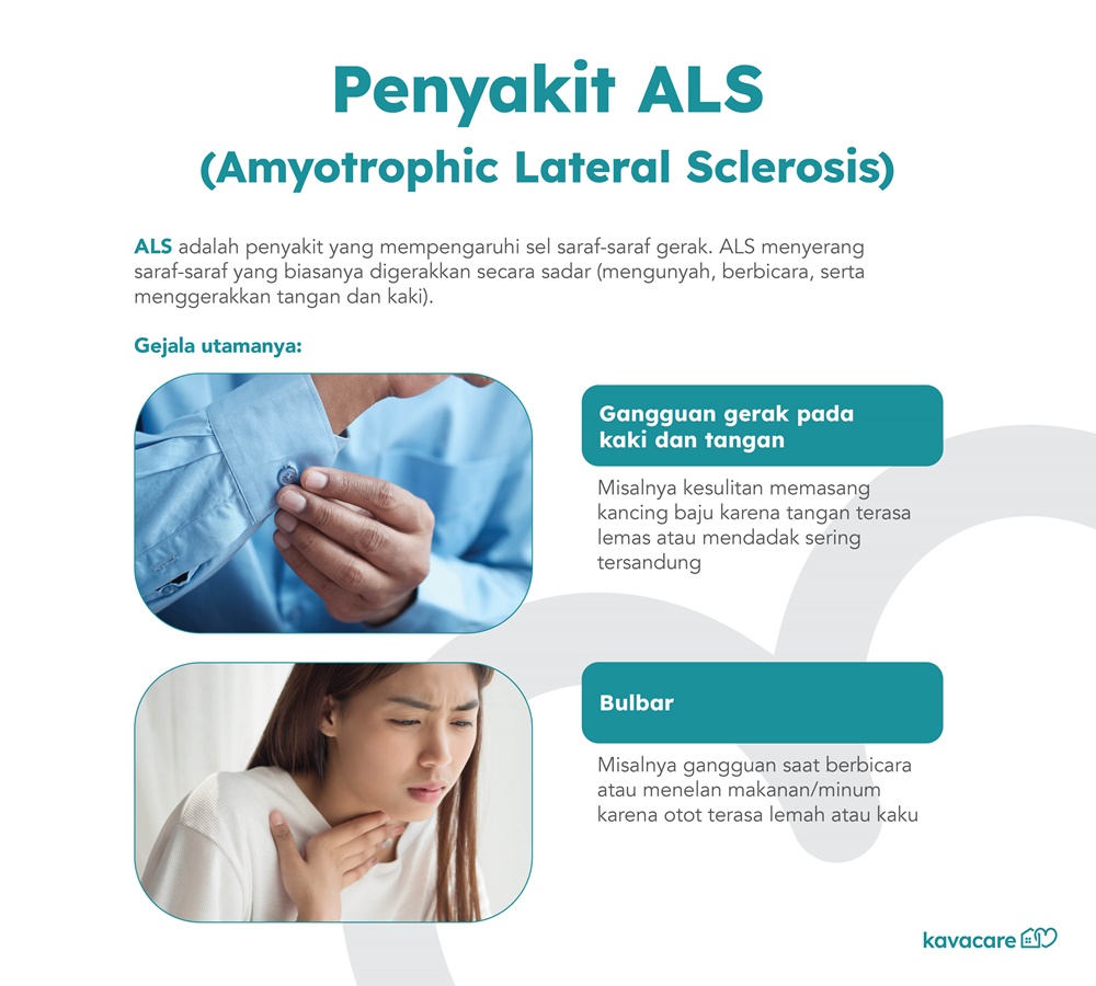 infografis penyakit ALS Amyotrophic Lateral Sclerosis