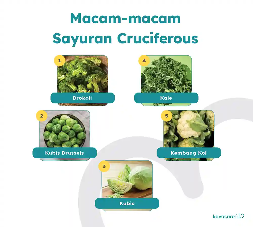 10 Anjuran Makanan untuk Pasien Liver 9 Infografis, Sayuran Cruciferous