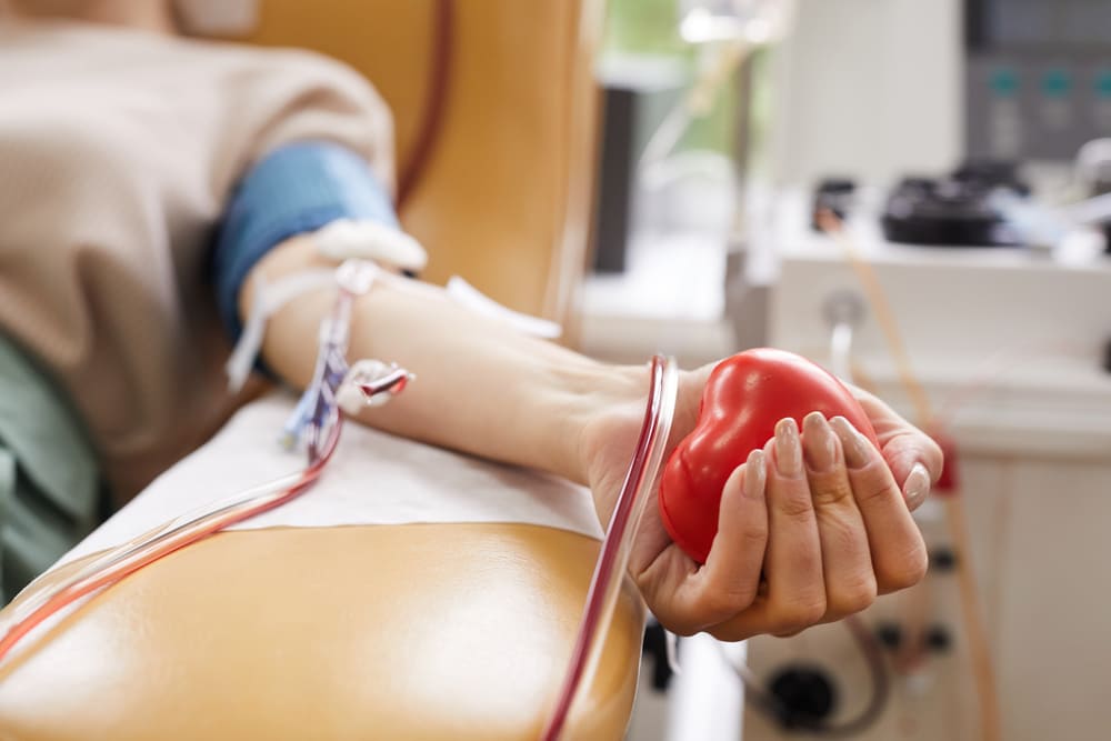 Read more about the article Transplantasi Sumsum Tulang: Prosedur, Risiko, dan Estimasi Biaya [2026]