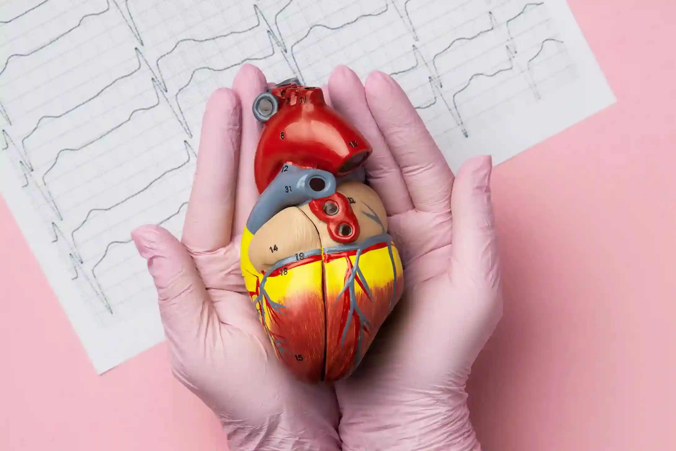 Read more about the article Bahaya Aneurisma Aorta: Waspadai Gejala dan Dapatkan Pengobatan Tepat