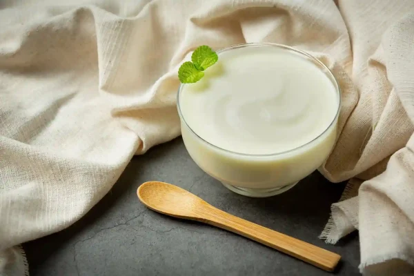 Apakah Minum Probiotik untuk Kesehatan Usus Dibutuhkan Setelah Acara Lebaran?