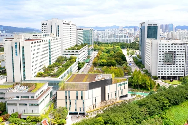 Medical Check Up di Asan Medical Center Seoul, Korea Selatan